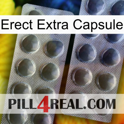 Erect Extra Capsule 31